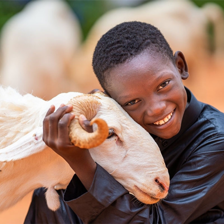 Qurban-Hilfsaktion 2026